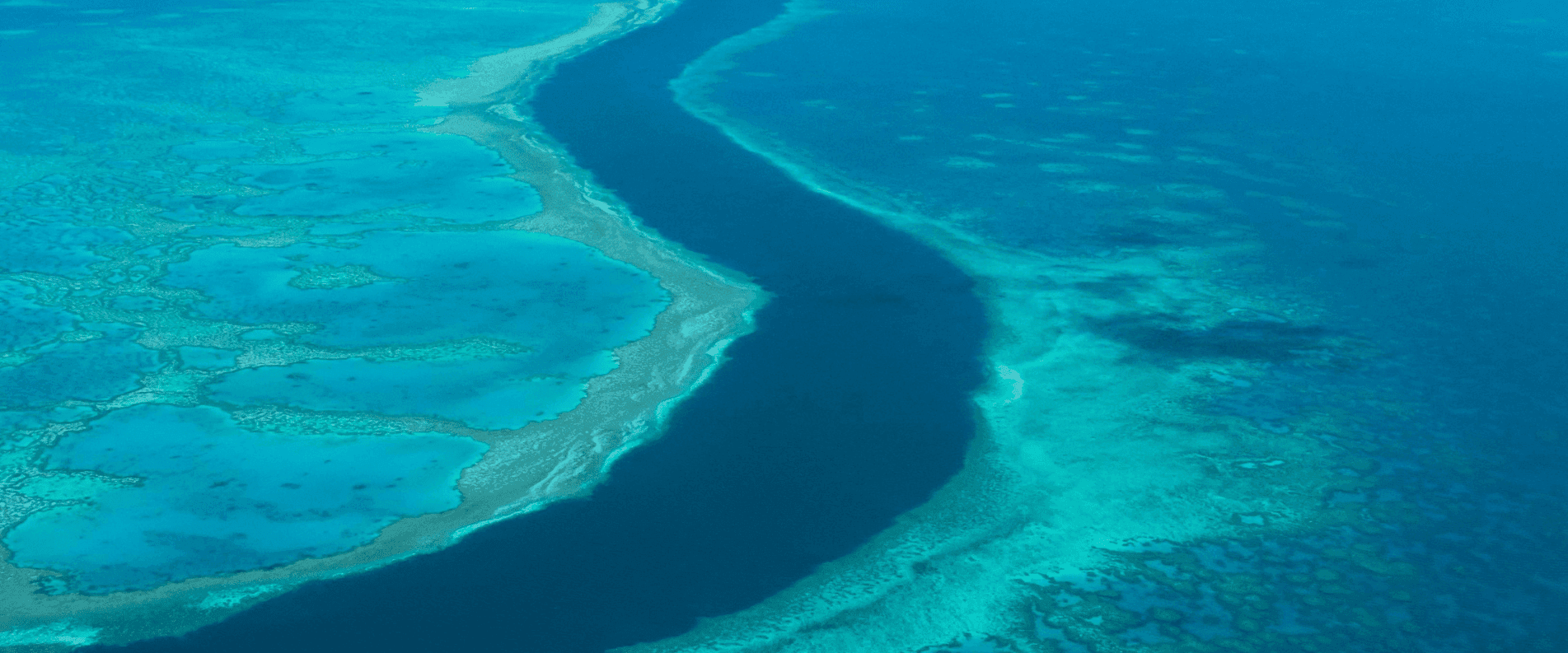 The Great Barrier Reef Is Visible from Space illustration