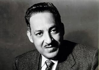THURGOOD MARSHALL - people illustration